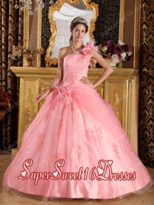 Appliques Watermelon Ball Gown One Shoulder Tulle Cheap Sweet Sixteen Dresses