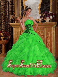 Sweet Sixteen Dress Discount 2014 Green Ball Gown Appliques