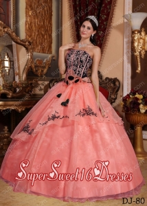 Watermelon and Black Simple Strapless Floor-length Organza Embroidery Sweet Sixteen Dresses