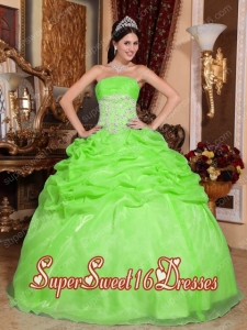 Organza Ball Gown Strapless Appliques Pick Ups Sweet Fifteen Dress in Spring Green with Beading