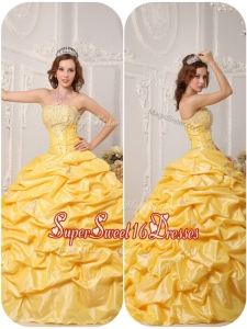 Plus Size Ball Gown Pick Ups and Appliques Quinceanera Gowns