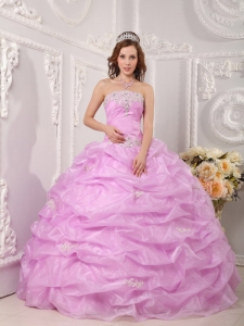 Exclusive Pink Sweet 16 Quinceanera Dress Strapless Organza Appliques Ball Gown