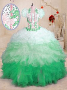 Multi-color Sleeveless Organza Brush Train Lace Up Ball Gown Prom Dress for Military Ball and Sweet 16 and Quinceanera