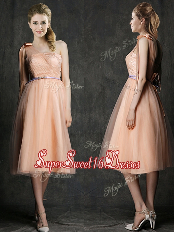 Wonderful One Shoulder Dama Dress with Sashes and Bowknot