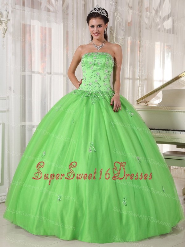 Elegant Spring Green Sweet 16 Dress Strapless Taffeta and Tulle Appliques Ball Gown