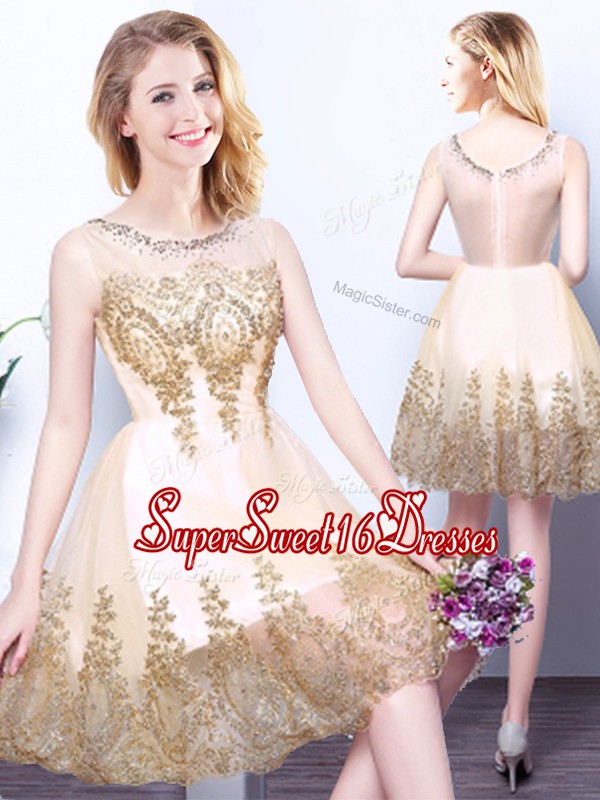 Fashion Scoop Sleeveless Zipper Quinceanera Court of Honor Dress Champagne Tulle