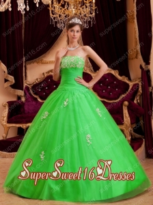 Spring Green A-line / Princess Strapless Tulle 2014 Quinceanera Dress with Appliques