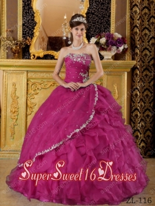 Fuchsia Ball Gown Strapless Organza Appliques Bule Custom Made Sweet 16 Dresses