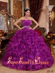 Fuchsia Ball Gown Sweetheart Organza Beading Custom Made Sweet 16 Dresses