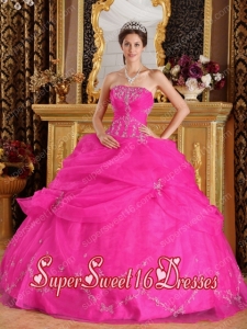 Elegant New Style In Hot Pink Ball Gown Strapless With Organza Appliques Sweet 16 Dresses