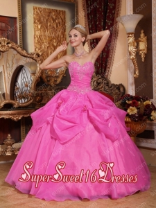 Rose Pink Pick Ups Sweetheart Taffeta and Organza Appliques Military Ball Dress
