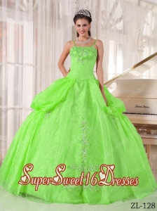 Sweet Sixteen Dress Beadings Organza Spaghetti Straps Spring Green Discount 2014 Ball Gown
