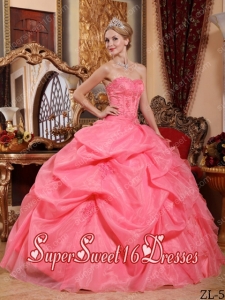 Ball Gown Watermelon Organza Strapless Modest Sweet Sixteen Dresses with Appliques