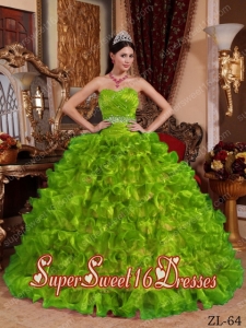 Spring Green Beading Ruffles Organza Sweetheart Sweet Sixteen Dress Discount 2014