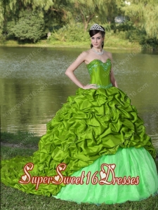 Affordable With Appliques and Pick-ups Spring Green Brush Train Exquisite Style For 2013 In Plus Size For Sweet 16 Dresses