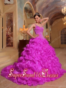 Fuchsia Ball Gown Spaghetti Straps Organza Popular Sweet 16 Dresses with Embroidery