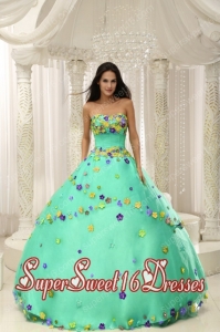 Plus Size In Apple Green Ball Gown 2013 Sweet 16 Dresses For Custom Made Appliques Decorate Bodice