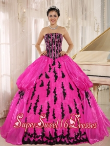 Hot Pink Embroidery Strapless Popular Ball Gown Sweet 16 Dresses