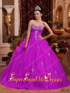 Fuchsia Ball Gown Sweetheart Floor-length Organza Appliques Simple Sweet Sixteen Dresses
