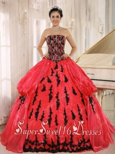 Red Embroidery and Pick-ups Decorate For Pretty Quinceanera Dresses