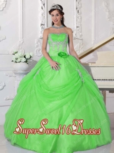 Spring Green Ball Gown Strapless Taffeta and Organza Sweet Fifteen Dress with Appliques and Hand Made Flower