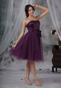 Purple A-Line / Princess Spaghetti Straps Knee-length Tulle Paillette Dama Dresses for Sweet 16