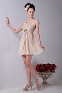 Champagne One Shouldle Mini-length Chiffon Ruch Dama Dresses for Sweet 16
