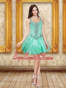 Gorgeous Beading and Ruffles Dama Dresses in Apple Green for 2015