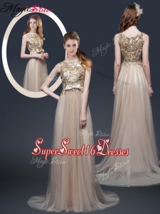 Luxurious Brush Train Dama Dresses with Appliques and Bowknot
