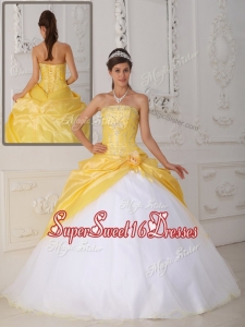 Romantic Ball Gown Appliques and Hand Made Flower Quinceanera