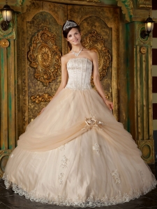 Informal Champagne Sweet 16 Dress Strapless Appliques Tulle Ball Gown