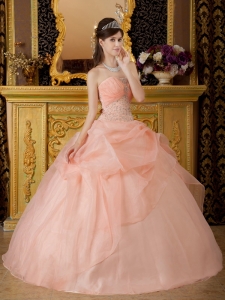 Romantic Baby Pink Sweet 16 Dress Strapless Organza Beading Ball Gown