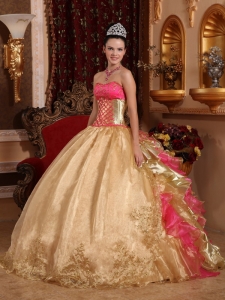 Popular Champagne Sweet 16 Dress Strapless Organza Embroidery Ball Gown