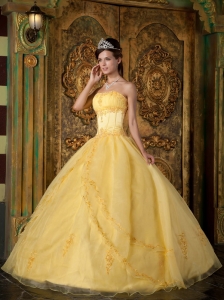 Gorgeous Yellow Sweet 16 Dress Strapless Appliques Organza Ball Gown