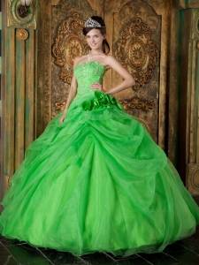 Pretty Spring Green Sweet 16 Dress Strapless Organza Beading Ball Gown