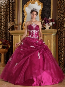 Brand New Fuchsia Sweet 16 Dress Strapless Organza and Satin Appliques Ball Gown