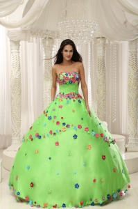 Spring Green Ball Gown 2013 Quninceaera Gown For Custom Made Appliques Decorate Bodice