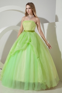 Light Green Sweet 16 Dress / Princess Strapless Floor-length Organza