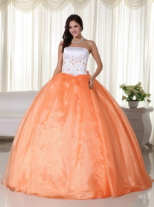 Orange Ball Gown Strapless Floor-length Organza Sweet 16 Quinceanera Dress