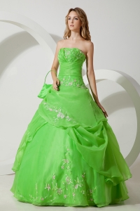 Spring Green Sweet 16 Dress Embroidery Ball Gown Strapless Floor-length Organza