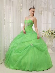 Brand New Spring Green Sweet 16 Dress Sweetheart Organza Appliques Ball Gown