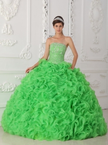 Beautiful Green Sweet 16 Quinceanera Dress Strapless Organza Beading Ball Gown