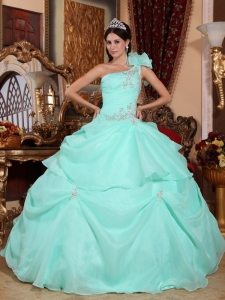 Fashionable Apple Green Sweet 16 Dress One Shoulder Organza Appliques Ball Gown