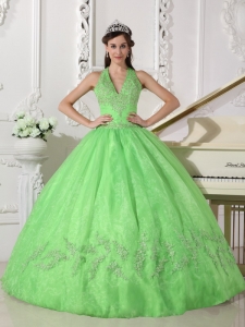 Lovely Spring Green Sweet 16 Dress Halter Taffeta and Organza Appliques Ball Gown