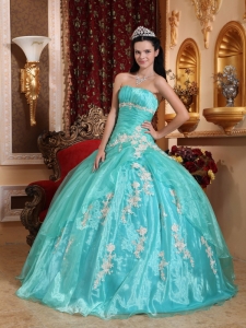 Beautiful Sweet 16 Quinceanera Dress Strapless Organza Appliques Ball Gown