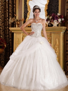 Popular Sweet 16 Quinceanera Dress Sweetheart Organza and Sequined Ball Gown