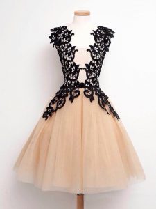 Straps Sleeveless Damas Dress Knee Length Lace Champagne Tulle