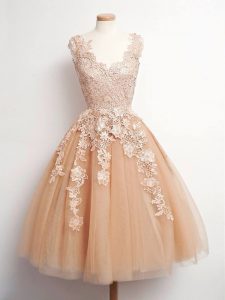 Lovely V-neck Sleeveless Quinceanera Court Dresses Knee Length Lace Champagne Tulle