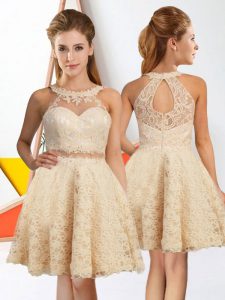 Champagne Zipper Halter Top Lace Quinceanera Court of Honor Dress Lace Sleeveless