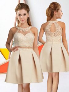 Noble Chiffon Halter Top Sleeveless Zipper Lace Quinceanera Court of Honor Dress in Champagne